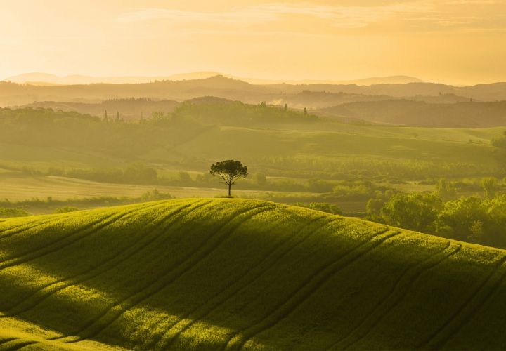 paesaggio borghetto poggio bianco