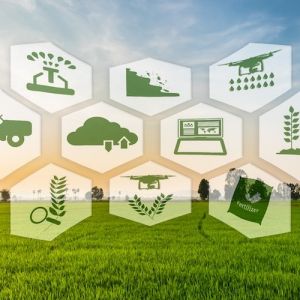 agricoltura di precisione by montri fotolia 750