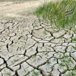 climate change siccita