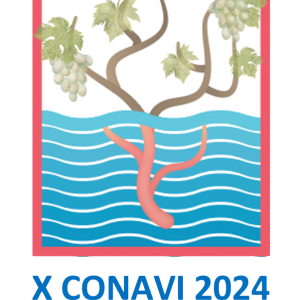 Logo Conavi 2024