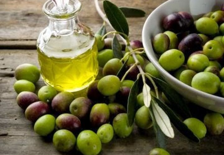 olio3