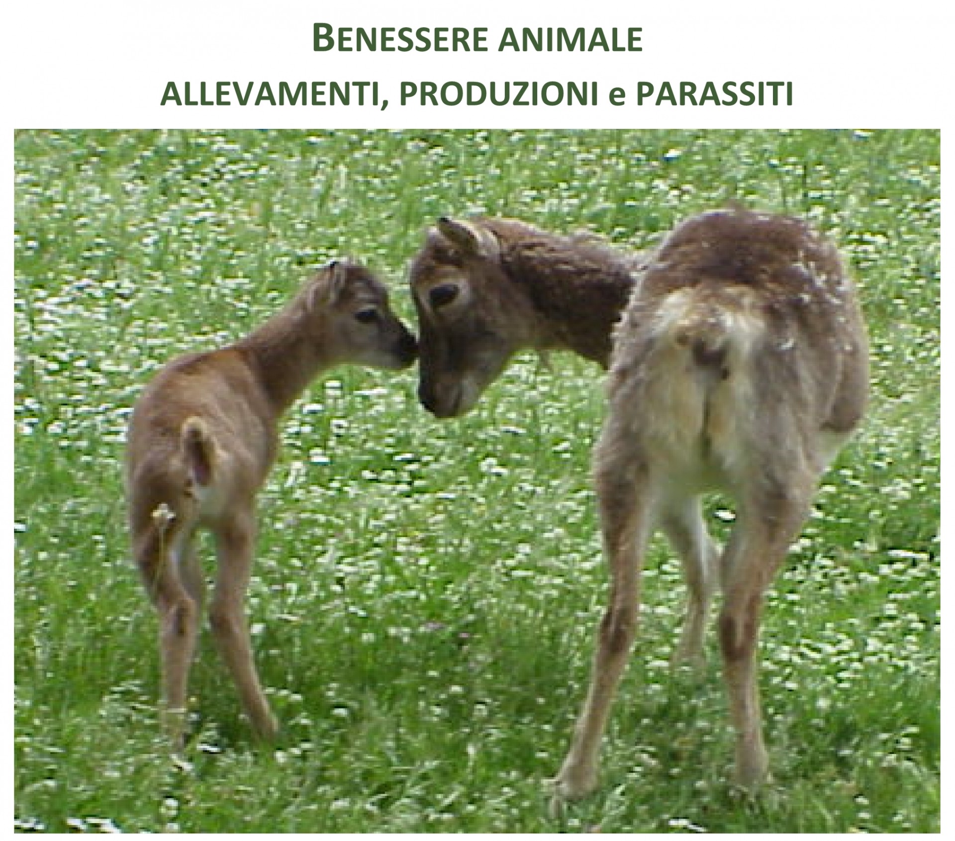 ISSLA 7 novembre locandina1