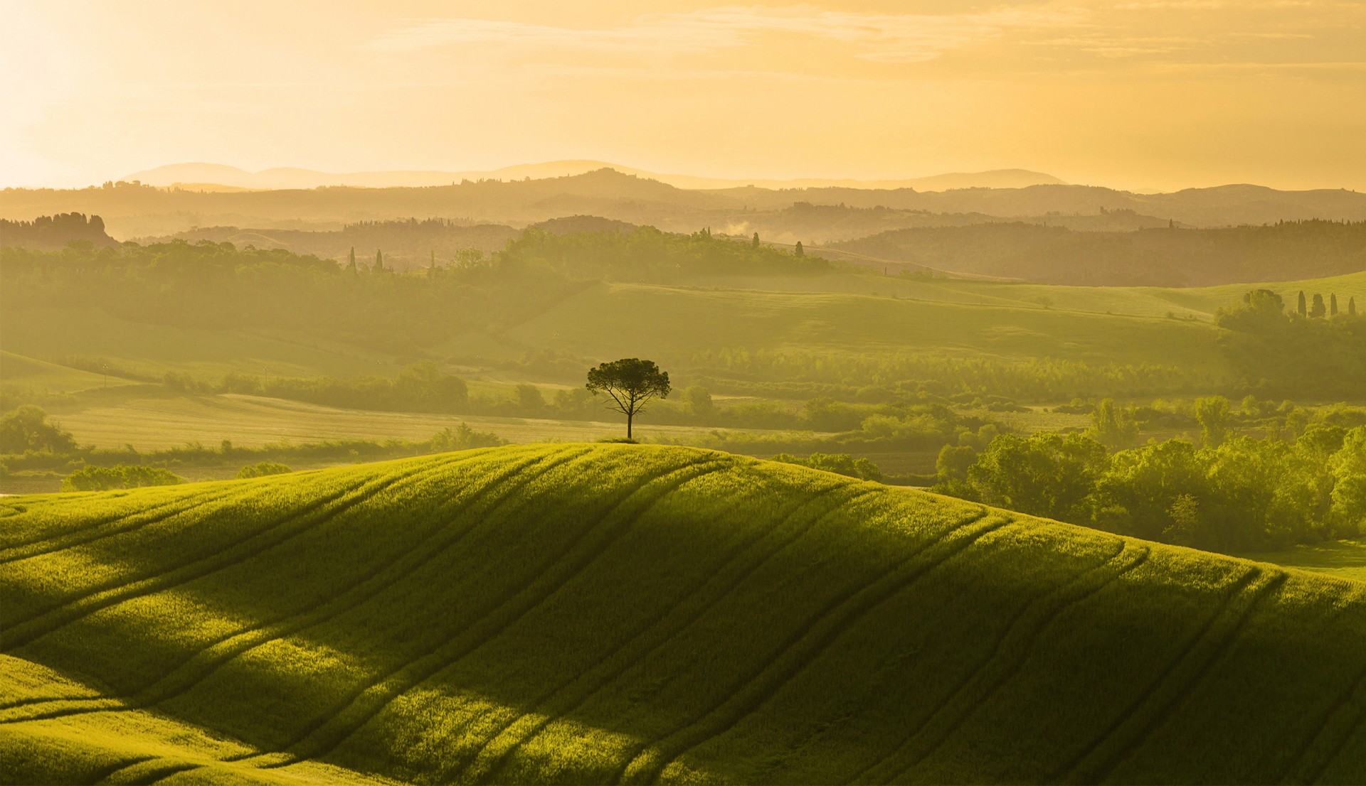 paesaggio borghetto poggio bianco