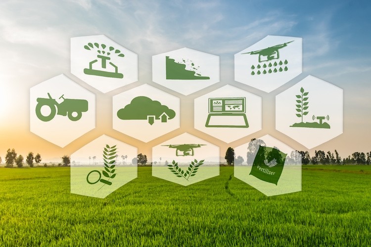 agricoltura di precisione by montri fotolia 750